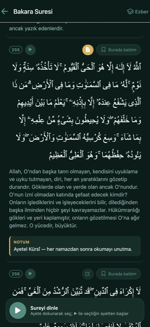 Kur'an okuma ekranı